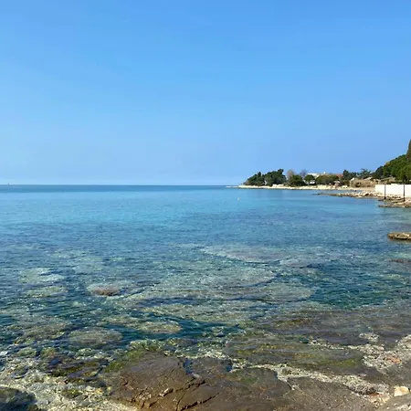 Terrace Flat 300 Mt From *