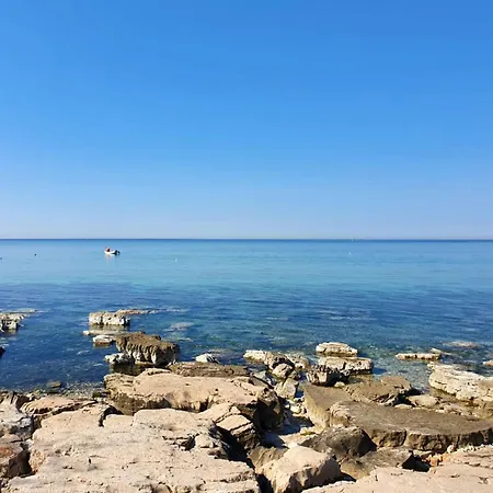 Apartman Terrace Flat 300 Mt From