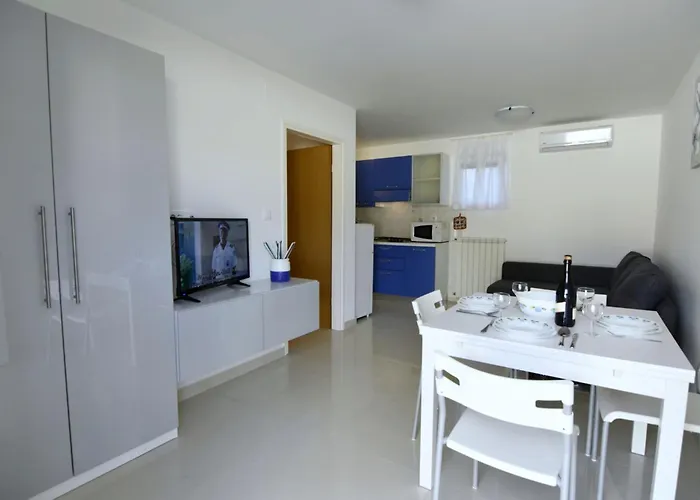 Apartman Terrace Flat 300 Mt From Zambratija (Istria)