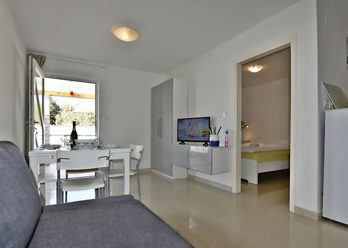 Terrace Flat 300 Mt From Zambratija (Istria)