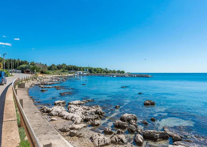 Terrace Flat 300 Mt From Apartman Zambratija (Istria)