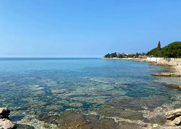 Terrace Flat 300 Mt From *