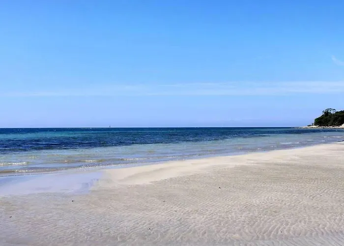 Apartman Terrace Flat 300 Mt From Zambratija (Istria)